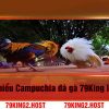 Campuchia Đá Gà 79King – Đổi Thưởng Không Giới Hạn